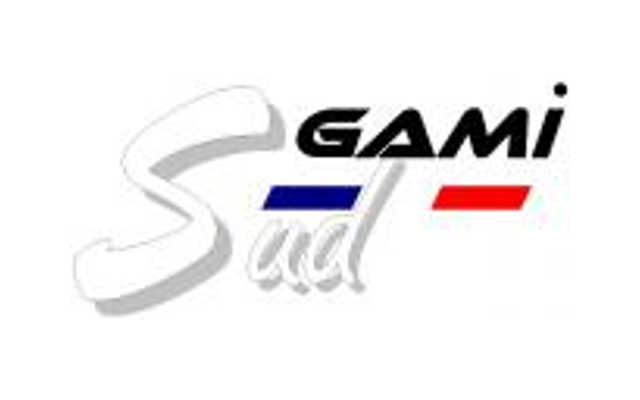 logo SGAMI SUD